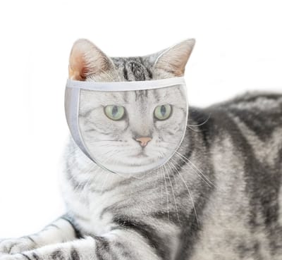 Kattenmuilkorf voor trimmen en behandeling