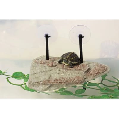 Terrarium accessoires Reptiles Planet Turtle Island