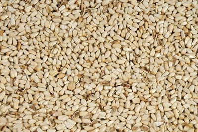 Vogelvoer- Vogelzaad- Kardizaad- Saffloorpitten- Saffloerzaad- Cardy- 2 kilo