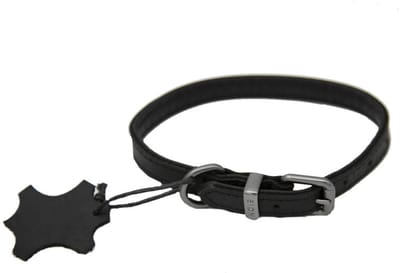 Kukura Luxe Lederen Hondenhalsband – 25mm x 60cm Cognac Bruin – Halsband voor Hond & Kat