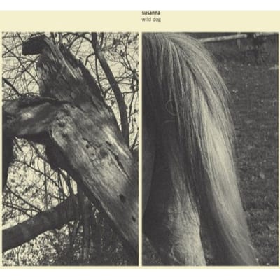 Susanna - Wild Dog (CD)