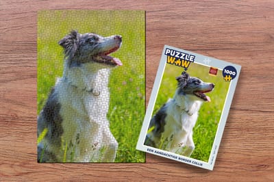 Puzzel Een aandachtige border collie - Legpuzzel - Puzzel 1000 stukjes volwassenen