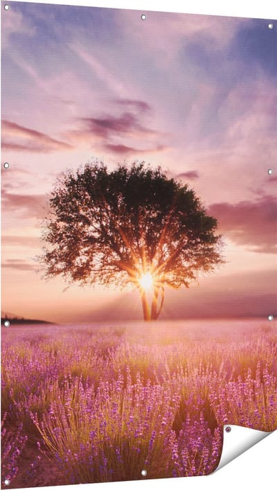 Gards Tuinposter Bloemenveld met Lavendel bij Zonsondergang - 100x150 cm - Tuindoek - Tuindecoratie - Wanddecoratie buiten - Tuinschilderij