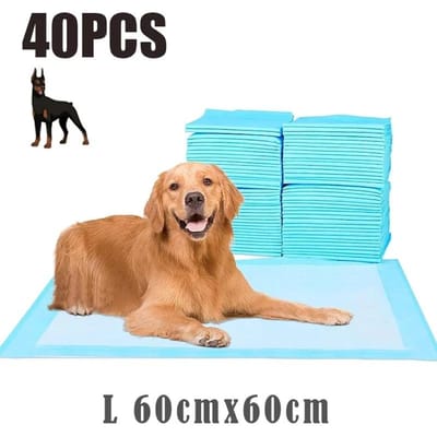 120 PIÈCES Tapis d'apprentissage pour chien Extra Larges Super Absorbants Anti-fuite Jetables Tapis pour urination d'animalIdéal pour Chiens Chiots Haute Qualité