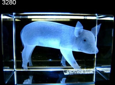 3D glasgravure biggetje - 8 cm - glasblokje - geschenkverpakking - decoratie cadeau
