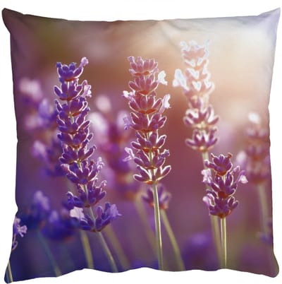 Sierkussens - Kussentjes Woonkamer - 50x50 cm - Lavendelbloemen - Paars - Zonlicht