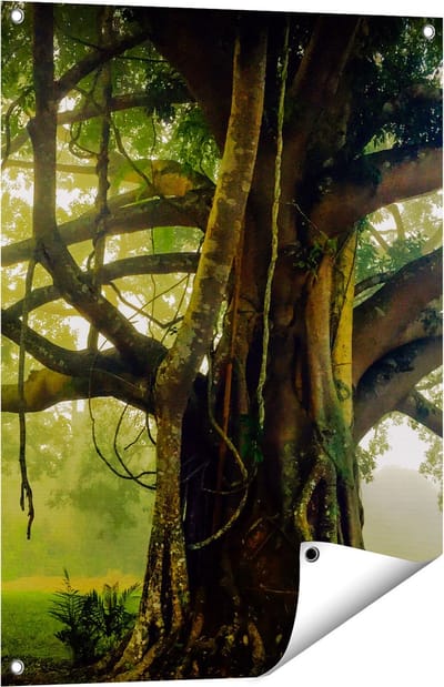 Gards Tuinposter Grote Levensboom met Veel Takken - 60x80 cm - Tuindoek - Tuindecoratie - Wanddecoratie buiten - Tuinschilderij