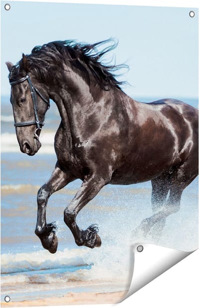 Gards Tuinposter Zwart Paard in het Water - 60x80 cm - Tuindoek - Tuindecoratie - Wanddecoratie buiten - Tuinschilderij
