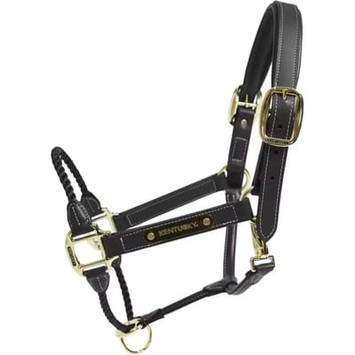 Kentucky Horsewear - Leder halster rope zwart cob