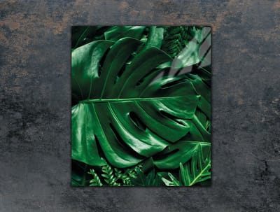 TMK ArtDeko Serie - Snijplank Glas - 45x52 cm - Monstera - Veelkleurige Bescherming