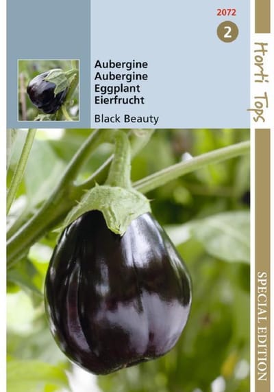Hortitops zaden - Aubergine Black Beauty 1 gram