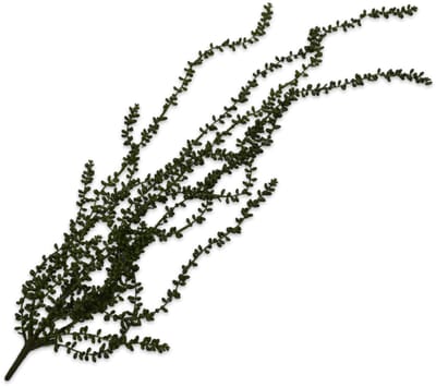 Silk-ka Kunstplant-Hangplant voor Binnen Groen 91 cm
