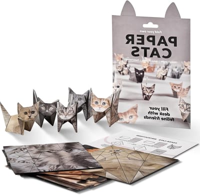 DIY Origami Kit voor Papieren Katten, 50-Delige Set met Video Handleiding voor Kinderen en Volwassenen, Perfect voor Kattenliefhebbers