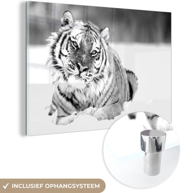 MuchoWow® Glasschilderij 150x100 cm - Schilderij acrylglas - Tijger - Sneeuw - Zwart - Wit - Foto op glas - Schilderijen