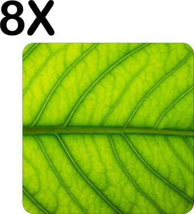 Luxe Placemat - Close Up Groen Blad - Set van 8 Placemats - 50x50 cm - 2 mm dik Vinyl - Anti Slip - Afneembaar