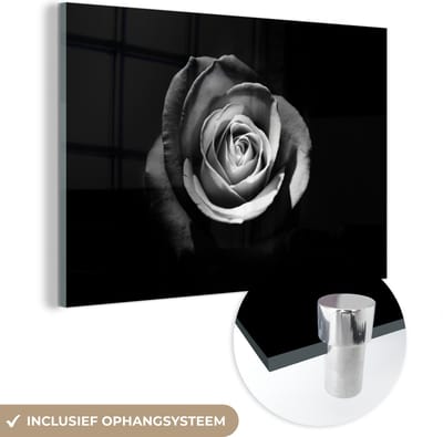MuchoWow® Glasschilderij 150x100 cm - Schilderij acrylglas - Bloemen - Zwart - Roos - Wit - Botanisch - Foto op glas - Schilderijen