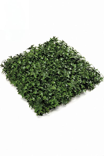 Emerald - Kunst Plantenwand Hedera UV 50x50cm - Kunstplant voor binnen