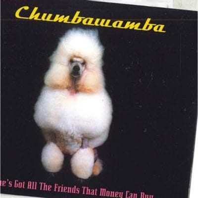 CD CHUMBAWAMBA - She's Got All The Friends That Mone 724388820622 EMI 2000 Duitsland Rock Gebruikt