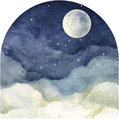 Vooraf gelijmd vliesbehang met gigantische muurschilderingen - MOONLIGHT NIGHT - 60x60cm