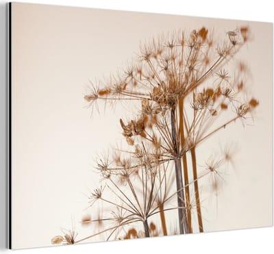 Aluminium schilderij 180x120 cm - Wanddecoratie metaal - Droogbloemen - Stilleven - Wit - Planten - Bloemen - Metalen muurdecoratie woonkamer - Decoratie industrieel - Foto op dibond - Industriële accessoires slaapkamer