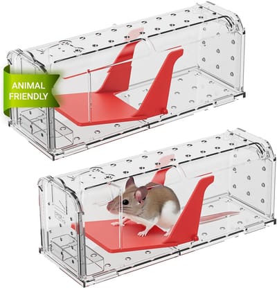 Dailygoods - 2 X Humane Muizenvallen - Levend Vangen voor Binnen en Buiten