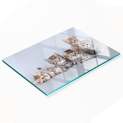 Duurzame en stijlvolle glazen snijplank met een patroon van vijf katten, 80x52 cm