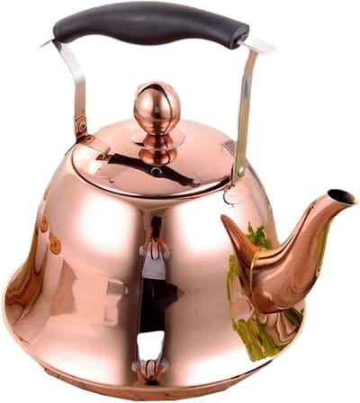 Fluitende Waterkoker - Theepot Kookplaat - Water Koken - Duurzaam Roestvrij Staal - 2L - Rosé Goud