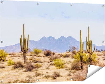 Gards Tuinposter Cactussen in de Woestijn - 120x80 cm - Tuindoek - Tuindecoratie - Wanddecoratie buiten - Tuinschilderij