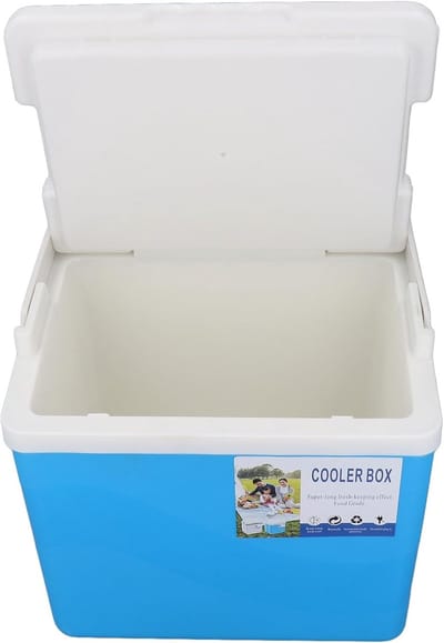 Koelbox 10L - Isolatiebox Draagbaar - Kamperen Picknick Vissen - Zeer Efficiënte Isolatie - 30 x 30 x 27 cm