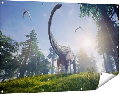Gards Tuinposter Diplodocus Dinosauri�r in het Bos - 120x80 cm - Tuindoek - Tuindecoratie - Wanddecoratie buiten - Tuinschilderij