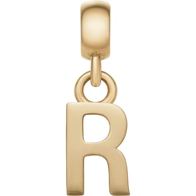 DANIEL WELLINGTON LETTER CHARM DW00400501 GOLD-PLATED LETTER R BEDEL 1 STUK