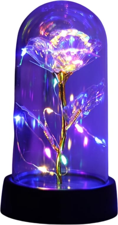 Bovista Onsterfelijke Roos - Roos In Glas - In Stolp - Galaxy - Roos In Glazen Stolp - Roos In Doos - Valentijn Cadeautje Voor Haar - Valentijn Cadeautje Voor Hem - Wit