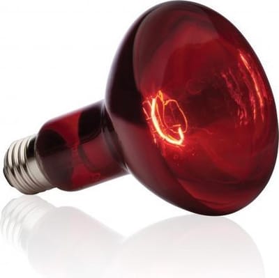 Reptech Infrarood halogeen lamp 108W