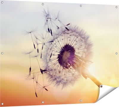 Gards Tuinposter Paardenbloem tijdens Zonsondergang - 120x90 cm - Tuindoek - Tuindecoratie - Wanddecoratie buiten - Tuinschilderij