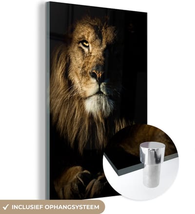MuchoWow® Glasschilderij 40x60 cm - Schilderij acrylglas - Leeuw - Licht - Zwart - Foto op glas - Schilderijen