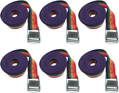 6 Stuks Spanbanden met Ratel 25mm x 2m - Sterke Sjorbanden voor Bagage en Transport
