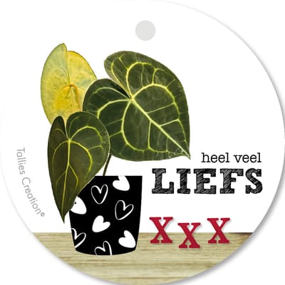 Tallies Cards - kadokaartjes  - bloemenkaartjes - Heel veel liefs - Plant - set van 5 kaarten - valentijnskaart - valentijn  - moeder - mama - liefde - 100% Duurzaam