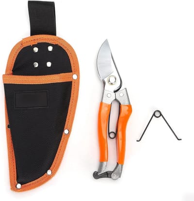Snoeischaar Fruitbomen - Tuinschaar Takkenknipper - Takken Snoeien - Arbeidsbesparend Ontwerp - 20 Cm - Grijs