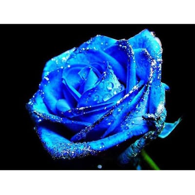 Kit de point de croix à faire soi-même, broderie de diamant, rose bleue, peinture diamant, mosaïque, décoration d'intérieur 20X30CM blue
