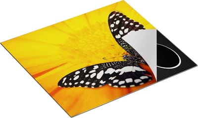 Chefcare Inductie Beschermer Vlinder op een Oranje Bloem - 60x50 cm - Afdekplaat Inductie - Kookplaat Beschermer - Inductie Mat