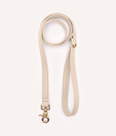 Sterke vegan leren hondenriem 1,4m – Beige – Duurzaam & stijlvol – Jala