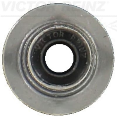 Victor Reinz Klepsteelpakking REINZ 70-13246-00