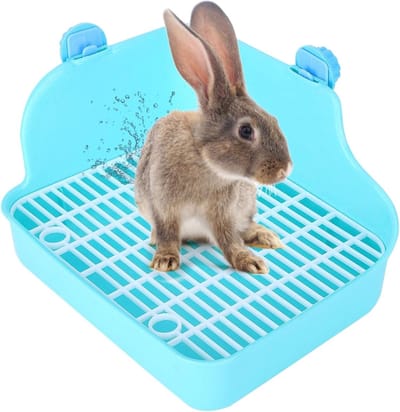 Kattenbak voor Cavia's - Huisdiertoilet 28 X 22 X 15 Cm - Konijnen Chinchilla Caviakooi - Groen