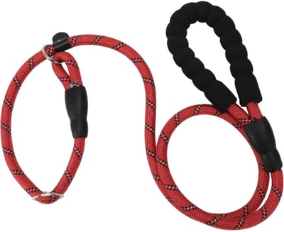 Dailygoody - Nylon Hondenriem - Reflecterende Hondenriem - Comfortabel Schuim Handvat - Rood - Hondenriem 130cm - Veiligheid - Geschikt voor Wandeling