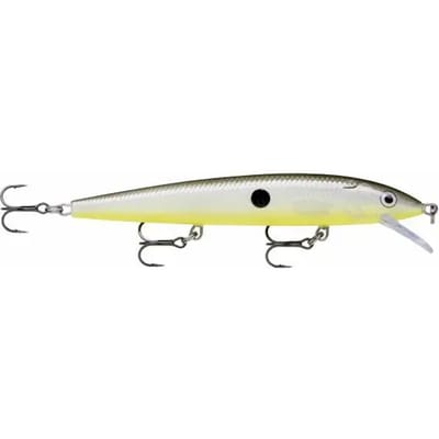Ophangen van kunstaas Rapala husky jerk 10 cm