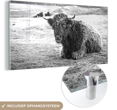 MuchoWow® Glasschilderij 40x20 cm - Schilderij acrylglas - Schotse Hooglander - Berg - Dieren - Foto op glas - Schilderijen
