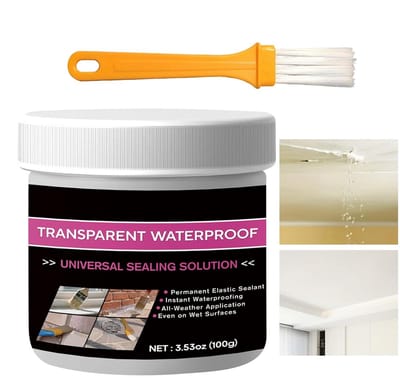 Reparatieverzegeling Coating - Waterdichte Lijm - Lekkages Dichten - Flexibele Langharige Formule - 100 Gram - Transparant