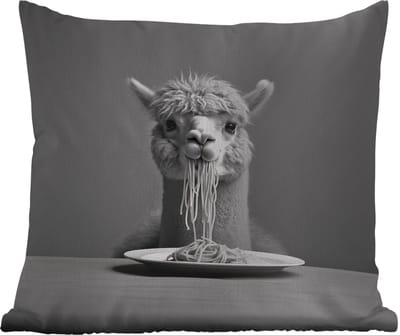Sierkussen Buiten - Alpaca - Pasta - Zwart - Wit - Grappig - Dieren - 60x60 cm - Weerbestendig