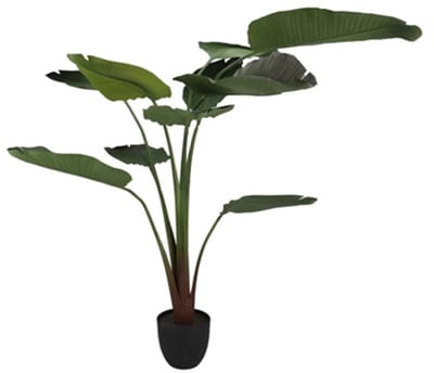 zijde strelitzia groen 185cm