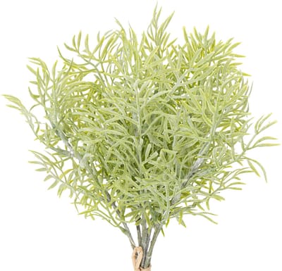 Sierlijke aspergetak, een natuurlijke aanvulling op bloemenboeketten,